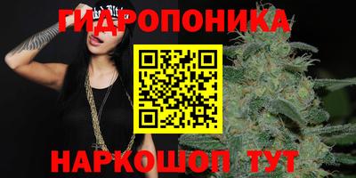 стаф Славгород