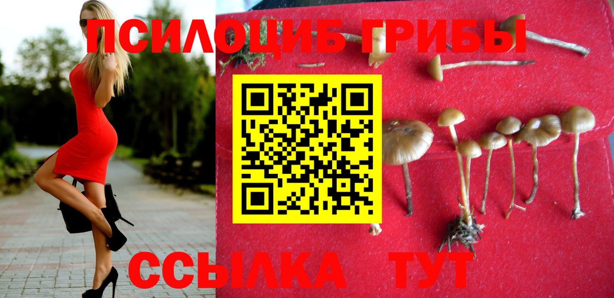 Псилоцибиновые грибы Cubensis Мариинск