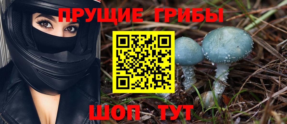 Мариинск  Галлюциногенные грибы Psilocybe  Вход с VPN  Псилоцибиновые грибы ЛСД 